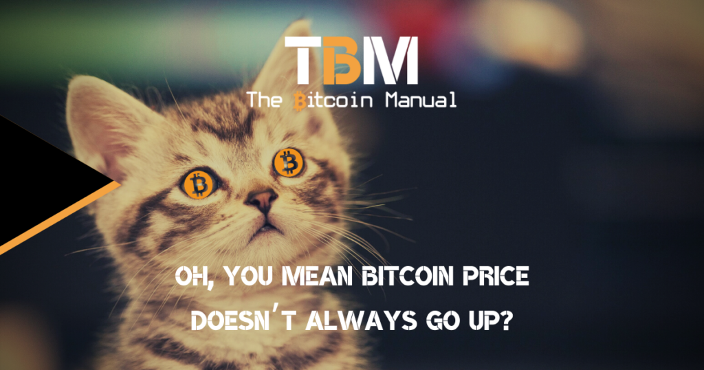 Bitcoin price doesn't always go up