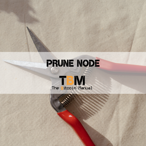 running a prune node