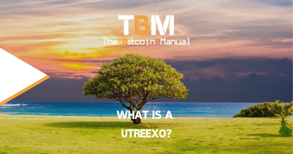 What is a Utreexo?