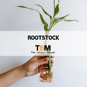 Rootstock RSK