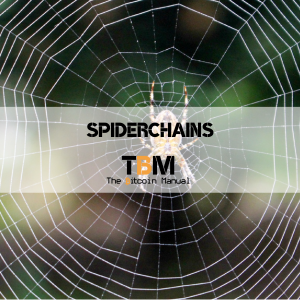 BTC spiderchains