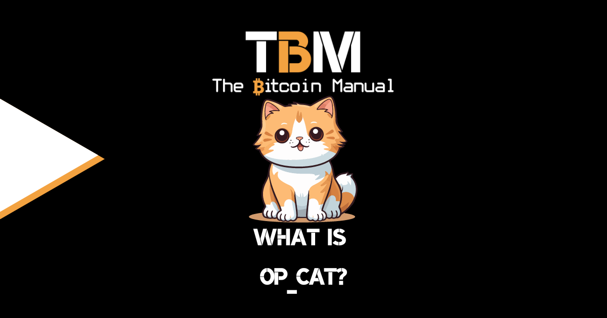 Bitcoin OP-CAT